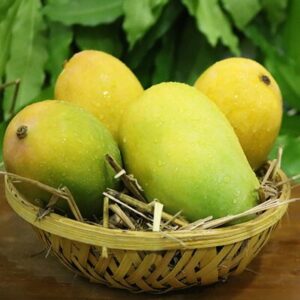 Ratnagiri Alphonso Mango | Villkart